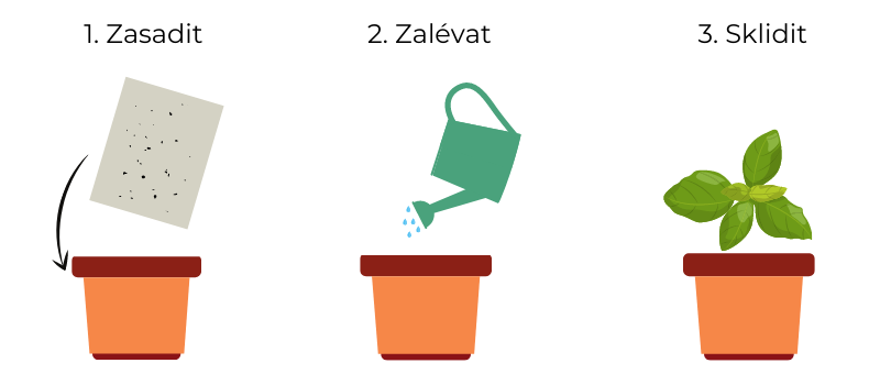 Návod na pěstování rostoucího papíru